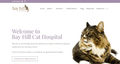 Desktop Screenshot of bayhillcathospital.com